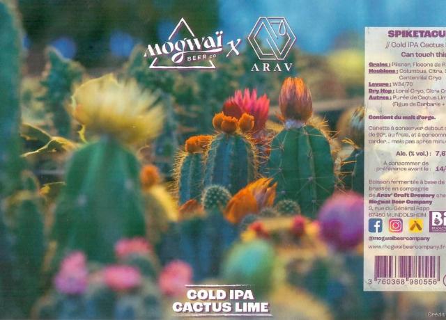 Spiketacular 7.6%, Mogwaï Beer Company, France