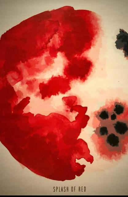 Splash of Red 5.0%, Mallaskellari, Finland