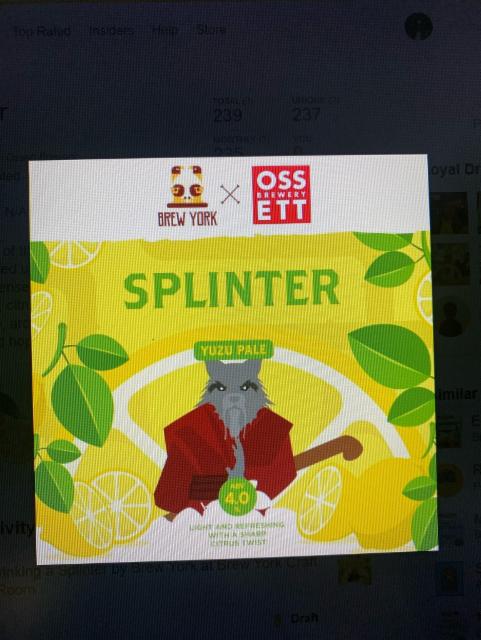 Splinter 4.0%, Brew York, England