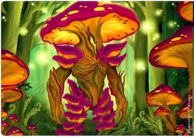 Spora 3.2%, Brasserie Les Alchimistes Ivres, France