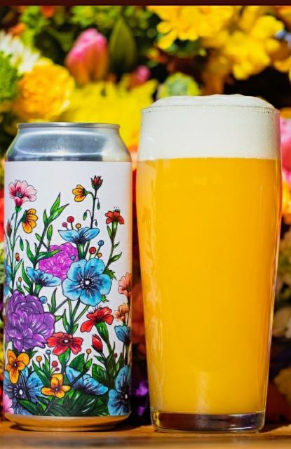 Spring 7.9%, Tree House Brewing Company, United States