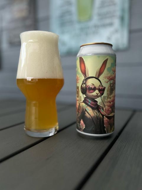 Springish IPA 6.0%, Brygghus 19, Sweden