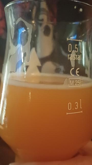 sqbru jahoda jazz, Sqbru