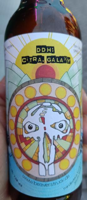 STATE OF CONFUSION 7.5%, Brauerei Beaverstruck, Germany