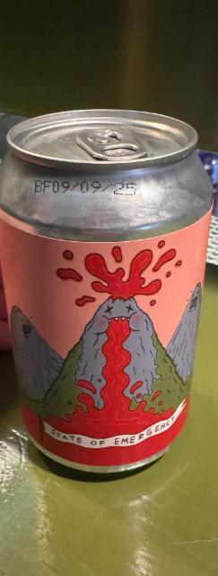 State of Emergency 4.9%, Gæðingur Öl Brugghús, Iceland