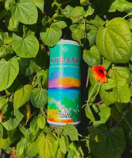 Strand New England Pale Ale 5.0%, Mallassepät, Finland