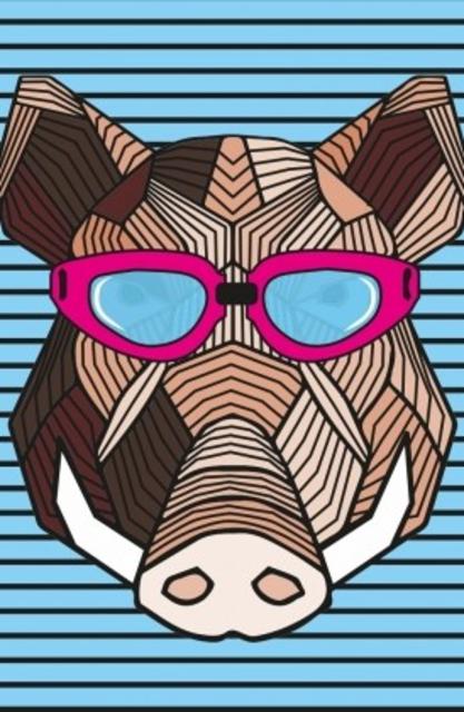 Strawberry & Rhubarb Sour 5.1%, The Piggy Brewing Company, France