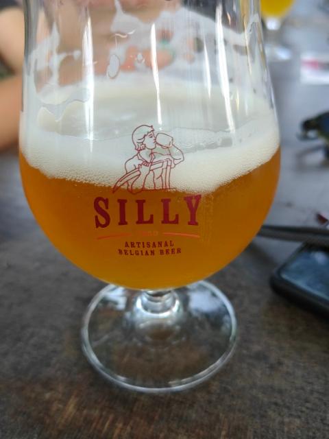 Strompelaar 5.8%, Brasserie de Silly, Belgium
