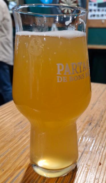 Summer sault, SF brewing