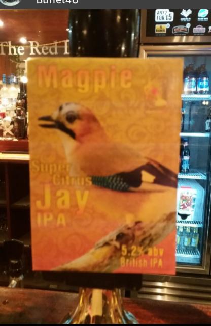 Super Citrus Jay IPA 5.2%, Magpie Brewery, England