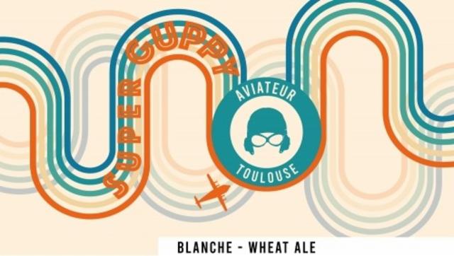 Super Guppy 4.5%, Aviateur, France