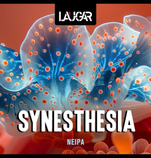 Synesthesia 6.2%, Laugar Brewery, Spain