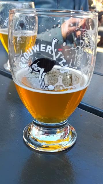 't ij blondie 5.8%, Brouwerij 't IJ, Netherlands