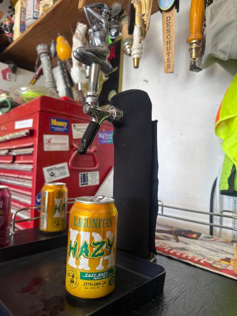 Tasy hazy, Lagunitas Brewing Company (Heineken)