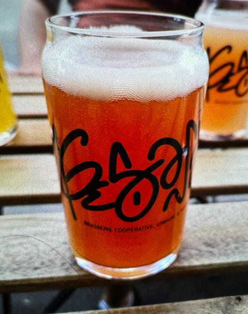 Taz, Brasserie Du Singe Savant