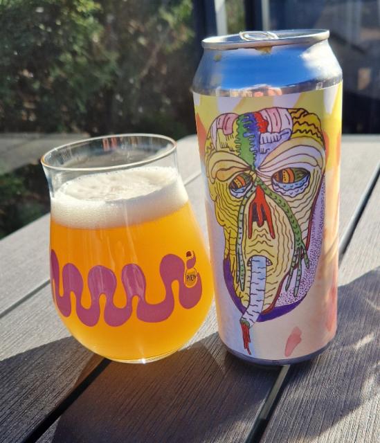 Technicolor Splendor 8.0%, Tired Hands Brewing Company, United States