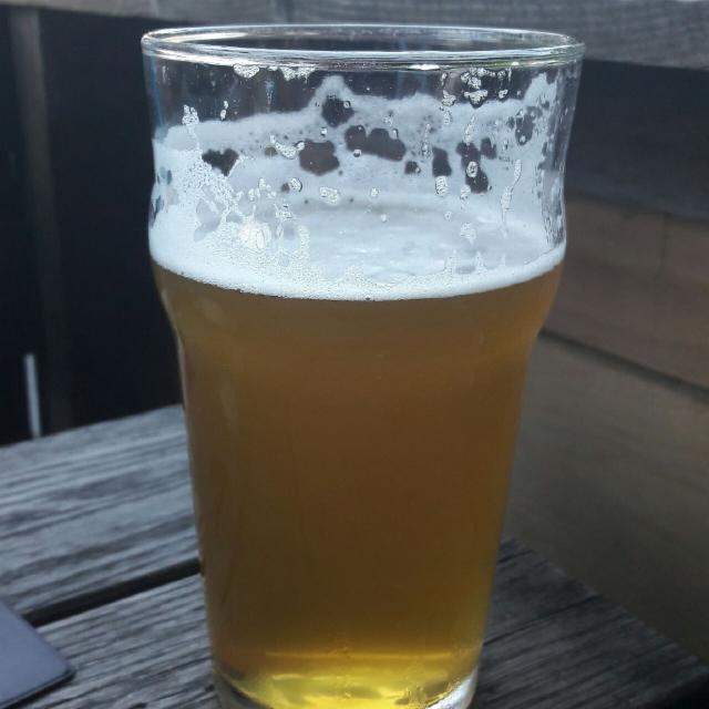 Tempête Tropicale 6.0%, L'Espace Public, Canada