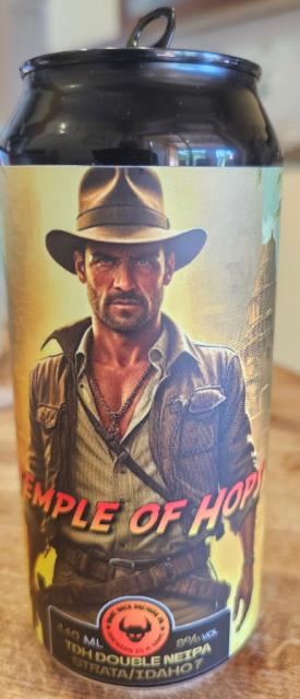 Temple Of Hops 8.0%, Game Over Brewing Co., France