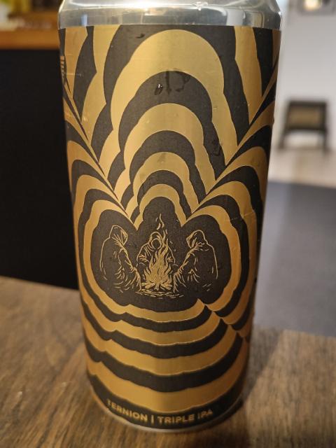 Ternion 10.0%, HOMES Brewery, United States