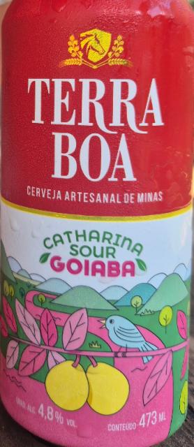 Terra Boa Catharina Sour Goiaba 4.8%, Terra Boa, Brazil