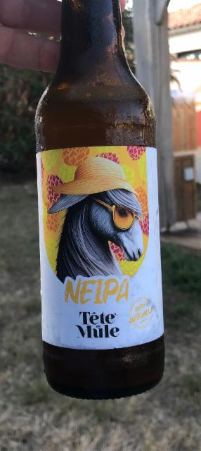 Tête de mul Neipa 4.5%, Brasserie Du Marais Poitevin (Tête De Mule), France