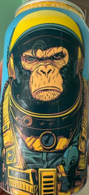 The bic tourist 10.0%, Martin House Brewing Company, United States