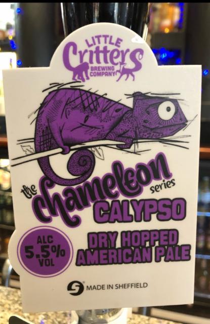 The Chameleon Series: Calypso 5.5%, Little Critters Brewery, England