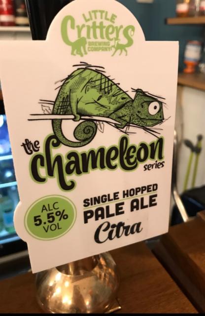 The Chameleon Series : Citra 5.5%, Little Critters Brewery, England