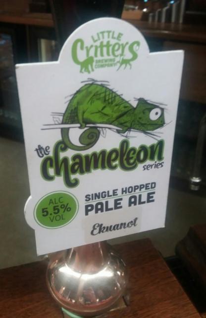 The Chameleon Series: Ekuanot 5.5%, Little Critters Brewery, England