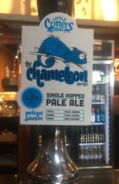 The Chameleon Series: Nelson Suavin 5.5%, Little Critters Brewery, England