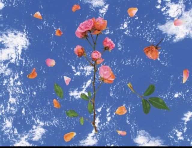 The Frontier 5.0%, Elmeleven, Sweden