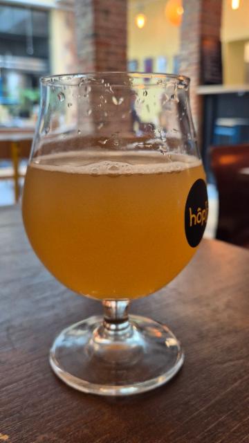The Golden Child 4.5%, Brasserie Hôp[i] (Hôpi), France