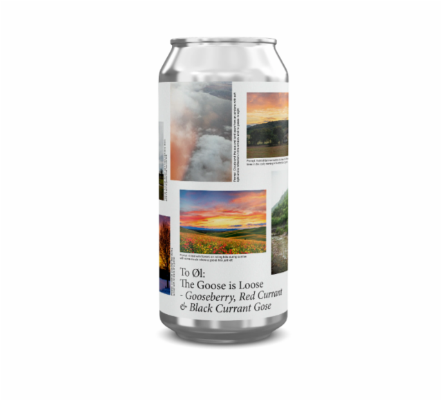 The Goose ls Loose 4.2%, To Øl, Denmark