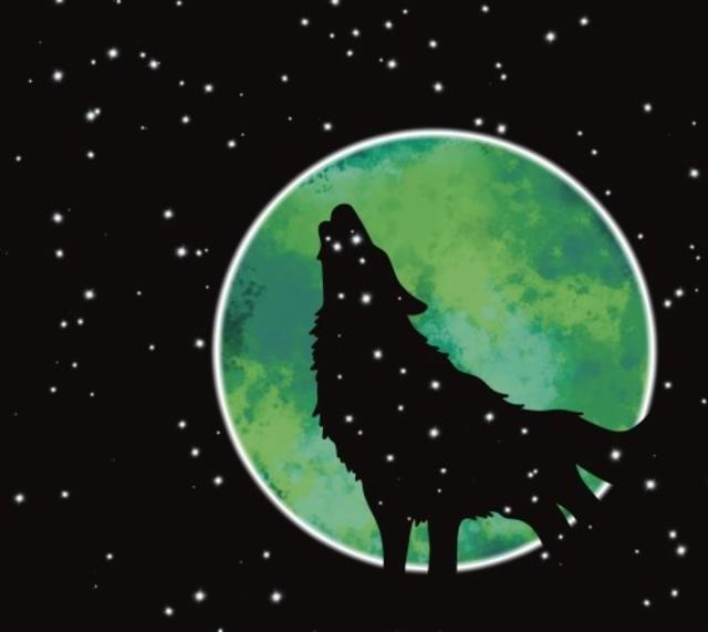 The Green Night, Les Intenables - Craft Beer