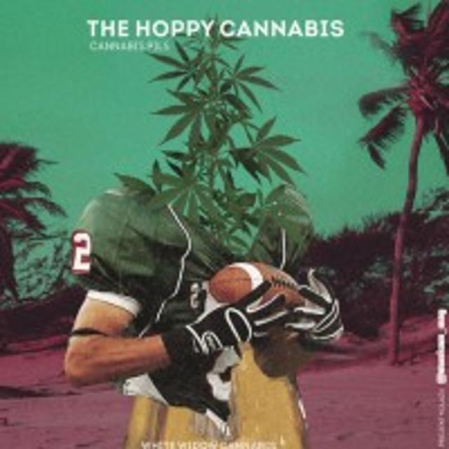 the hoppy cannabis, Moczybroda