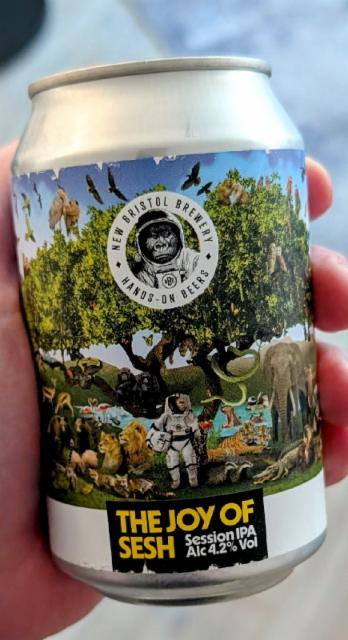The Joy Of Sesh 4.2%, New Bristol Brewery, England