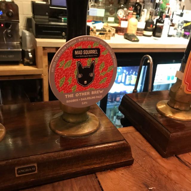 The Other Brew 5.0%, Mad Squirrel Brewing, England