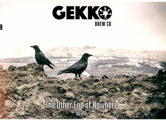 The Other End Of Nowhere 6.5%, Gekko Beers - Gekko Brewing Company, France