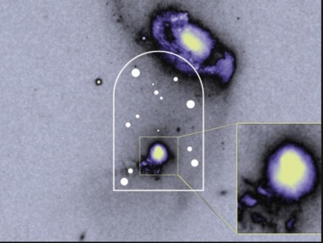 The Paradox (PULP) 5.0%, Elmeleven, Sweden