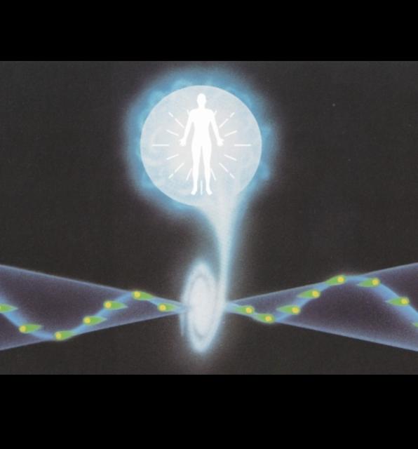 The Wanderer (Pulp) 5.0%, Elmeleven, Sweden