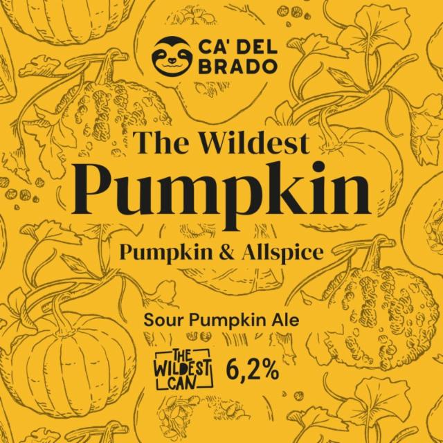 the wildest pumpkin 6.2%, Ca' del Brado, Italy