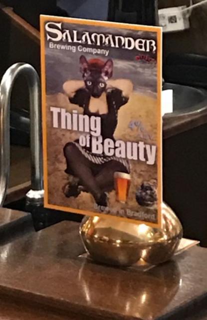 Thing Of Beauty 4.0%, Salamander Brewing Company, England
