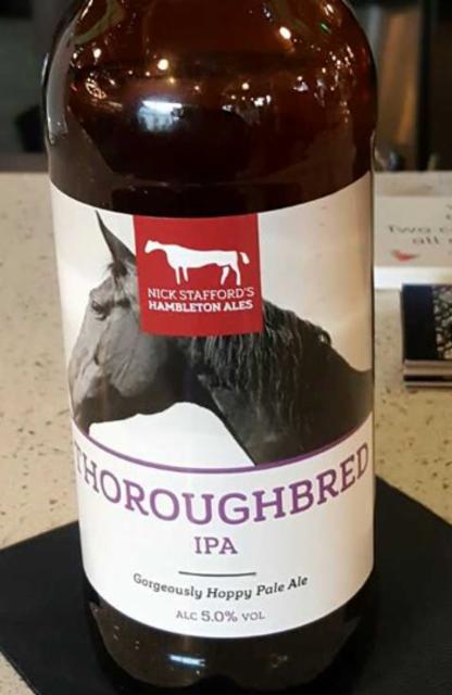 Thoroughbred 5.0%, Hambleton Ales / Brewery, England