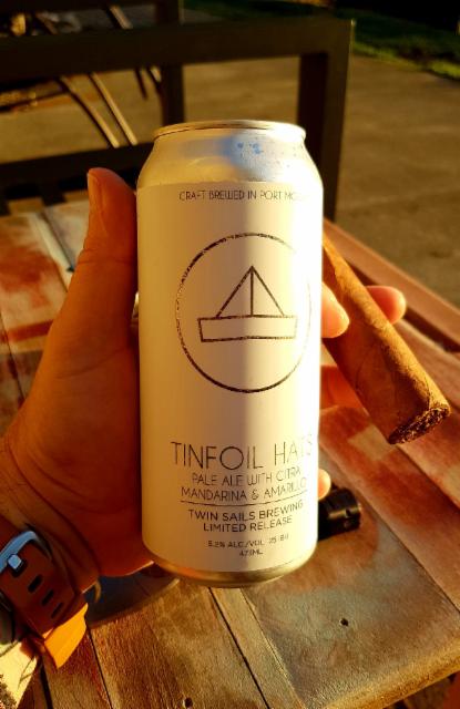 Tin Foil Hats 5.2%, Twin Sails Brewing, Canada