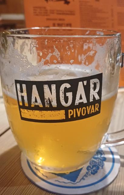 tleskać 9 3.7%, Pivovar Hangar, Czech Republic