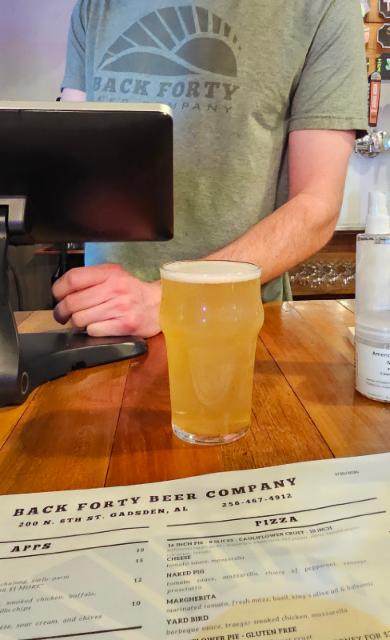 Tokyo Draft 4.5%, Back Forty Beer Company, United States