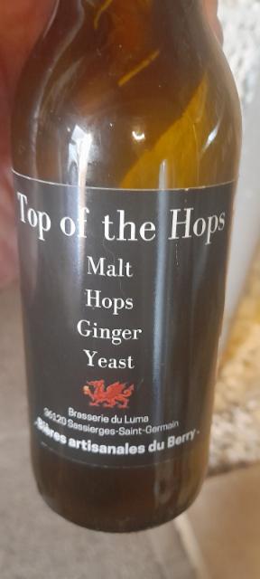 top of the hops 5.0%, Brasserie Du Luma, France