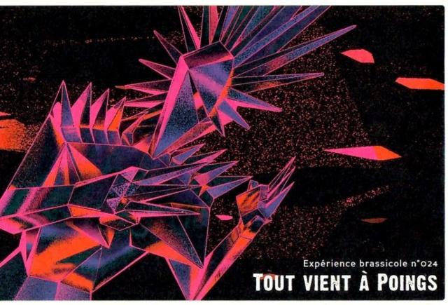 Tout Vient À Poings 11.3%, La Piautre - La Fabrique Des Bières D'Anjou, France