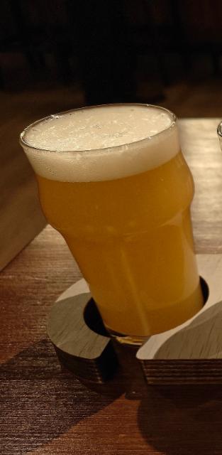 trade project 2026 dipa 8.0%, Beak Brewery, England