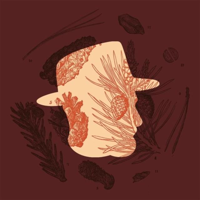 Tree Museum 4.6%, Nomade Brewery, France